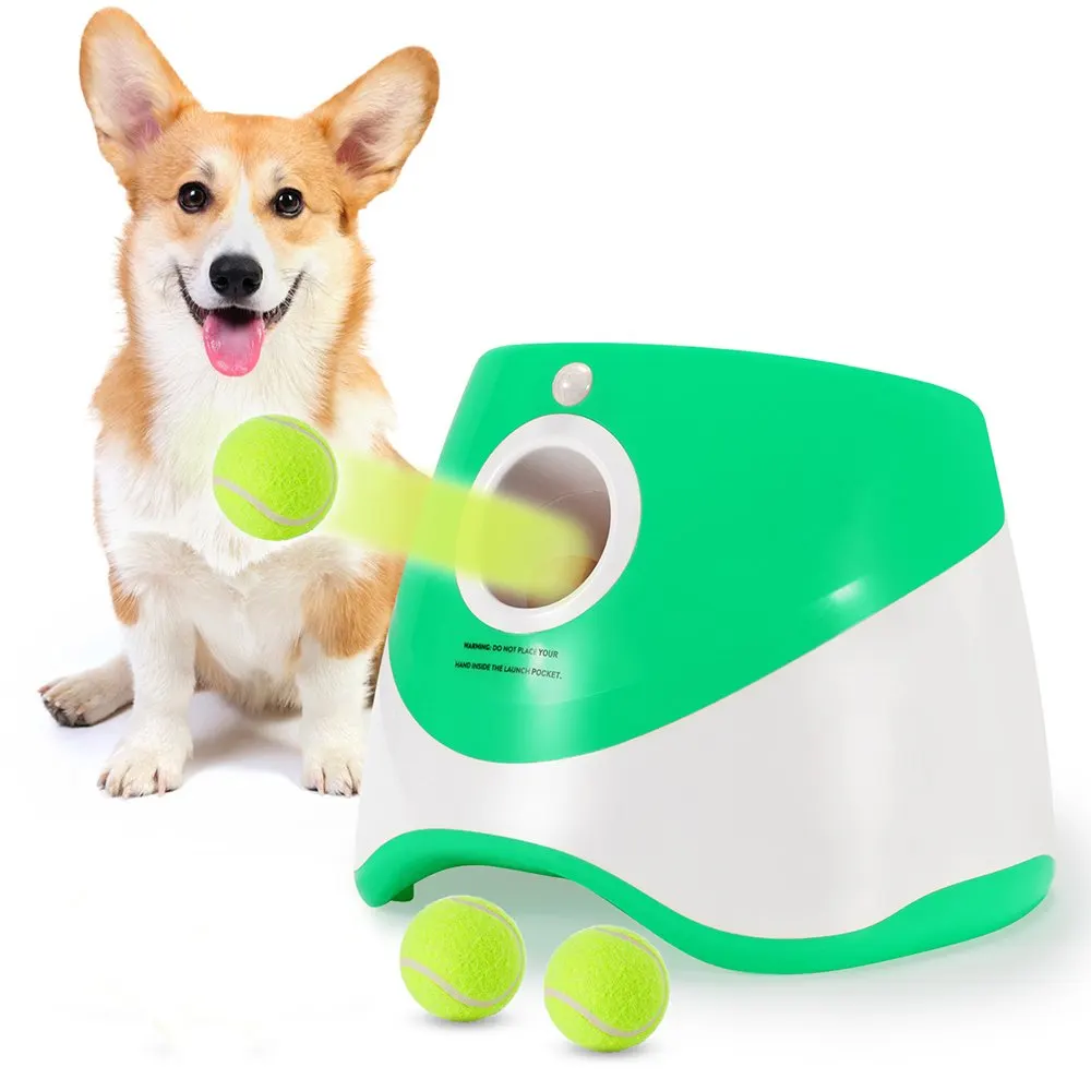 automatic ball launcher for a dog