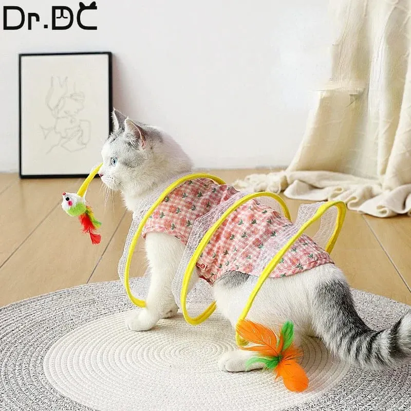 cat tunnel