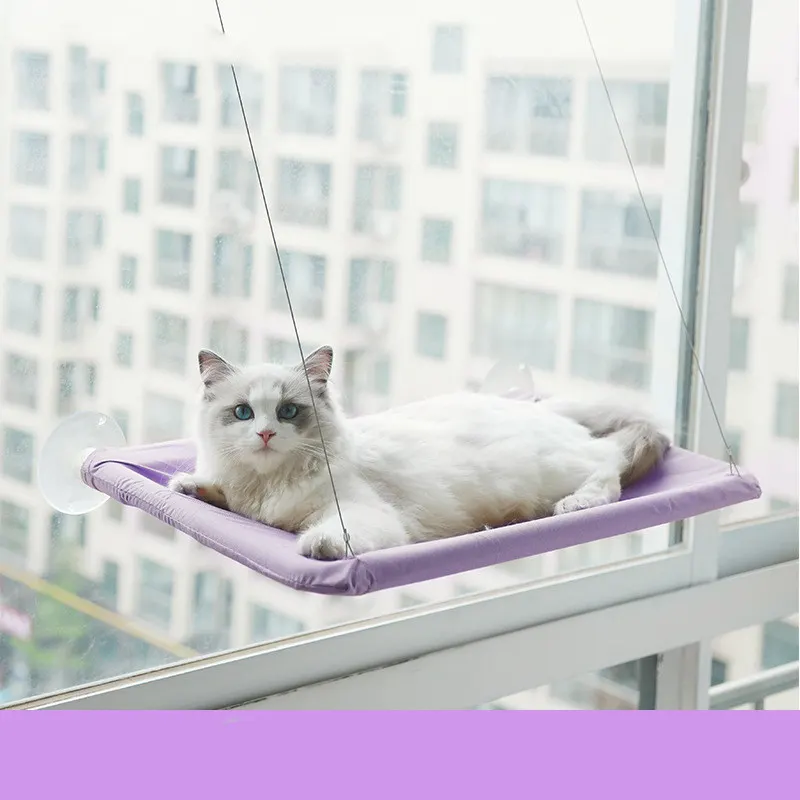 window perch