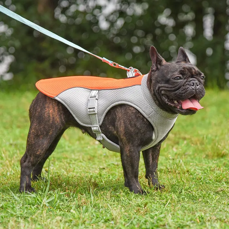cooling vest