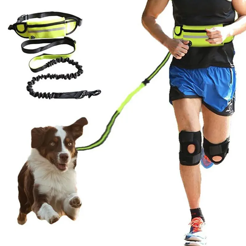 hands-free leash