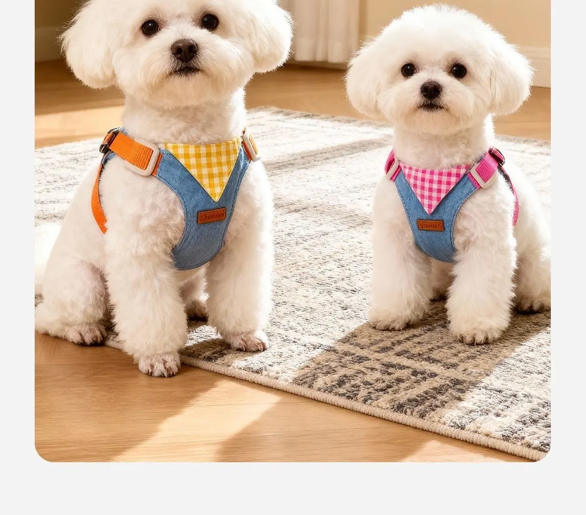 soft chest harness on a puppy