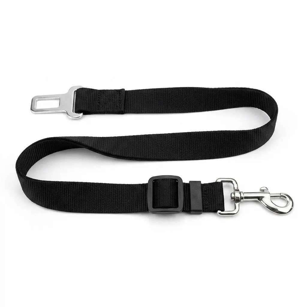 car safety belt