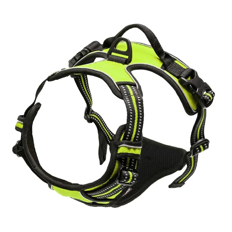 reflective anti-shock vest on a dog