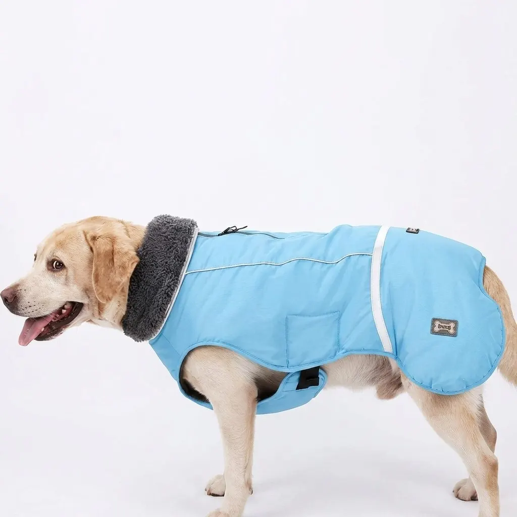 winter jacket